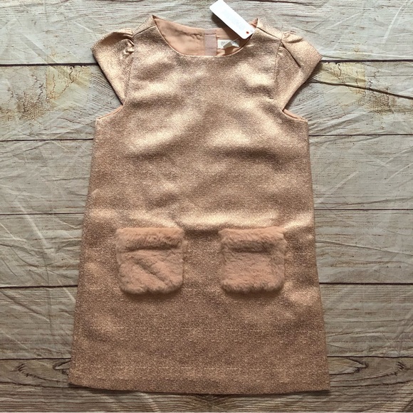 Gymboree Other - Textured Metallic Dress NWT BY Gymboree